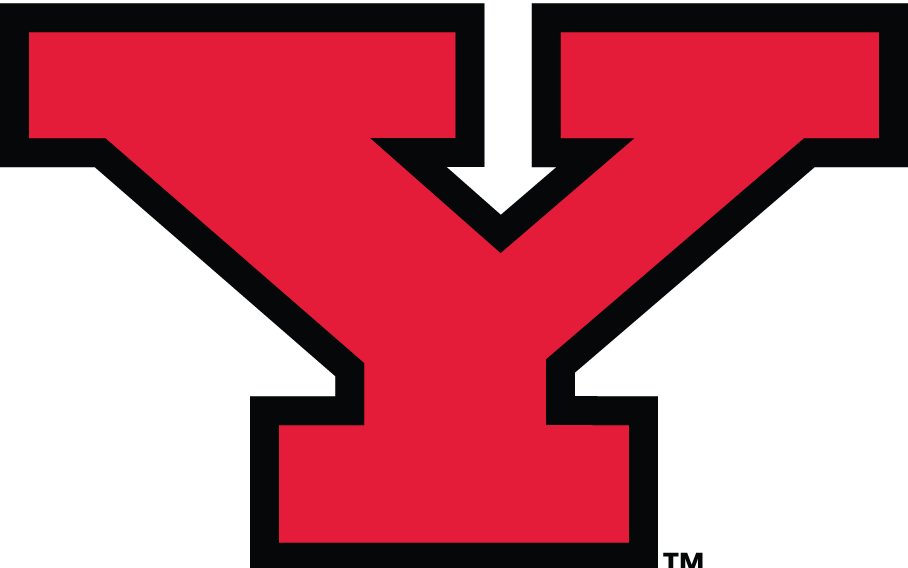 Youngstown State Penguins 1993-Pres Alternate Logo DIY iron on transfer (heat transfer)